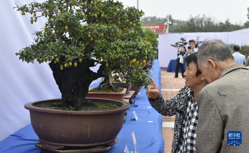 丰禾国际娱乐